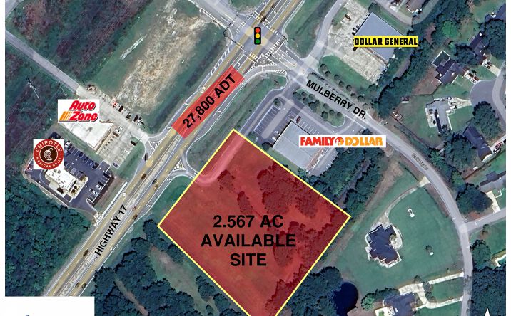Pictures of Land property located at 21 MULBERRY COMMERCIAL PK, RICHMOND HILL, GA 31324 for sales - image #1