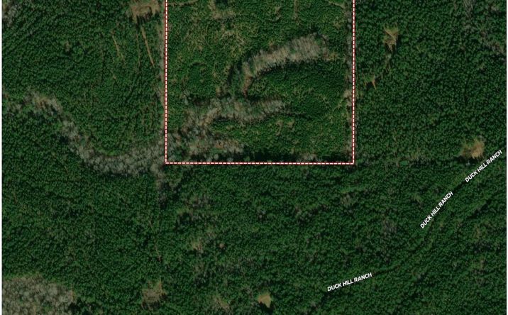 Pictures of Land property located at Duck Hill Ranch Road, Winona, MS 38967 for sales - image #1