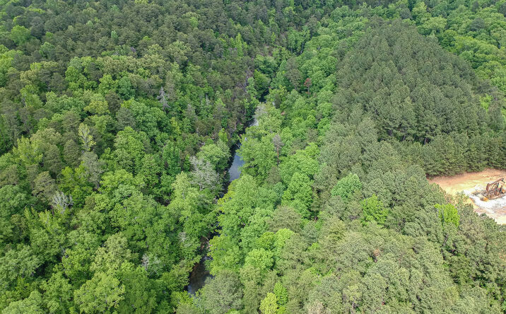 Pictures of Land property located at Ed Stephens Road, Brookwood, AL 35453 for sales - image #1
