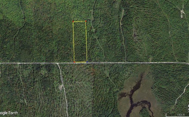 Pictures of Land property located at South Oakfield Road, Oakfield, ME 04730 for sales - image #1