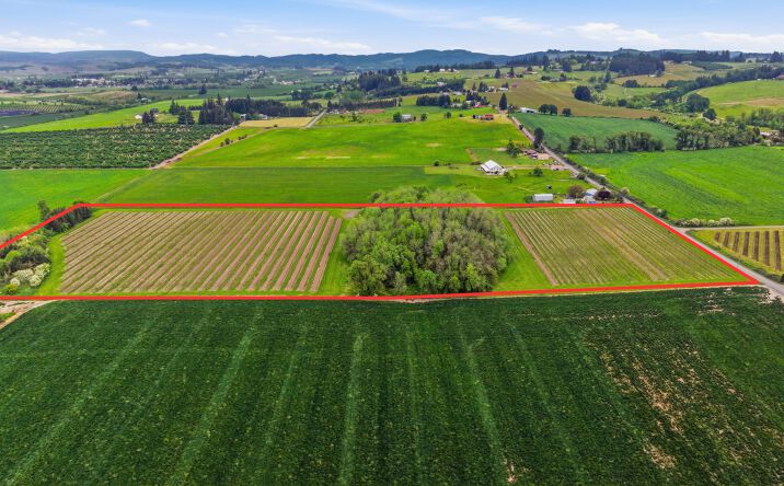 Pictures of Land property located at 13987 Northeast Yamhill Road, Carlton, OR 97111 for sales - image #1