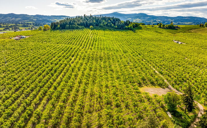 Pictures of Land property located at Neal Creek Mill Road, Hood River, OR 97031 for sales - image #1