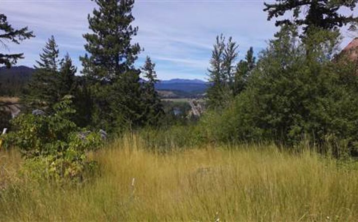 Pictures of Land property located at 17 XX Twin Lakes Rd, Cle Elum, WA 98922 for sales - image #1