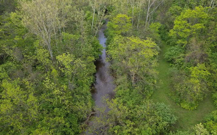 Pictures of Land property located at 2920 Vine Street, Danville, IL 61834 for sales - image #1