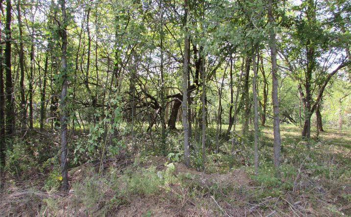 Pictures of Land property located at 123 Gulick Street, Muskogee, OK 74401 for sales - image #1