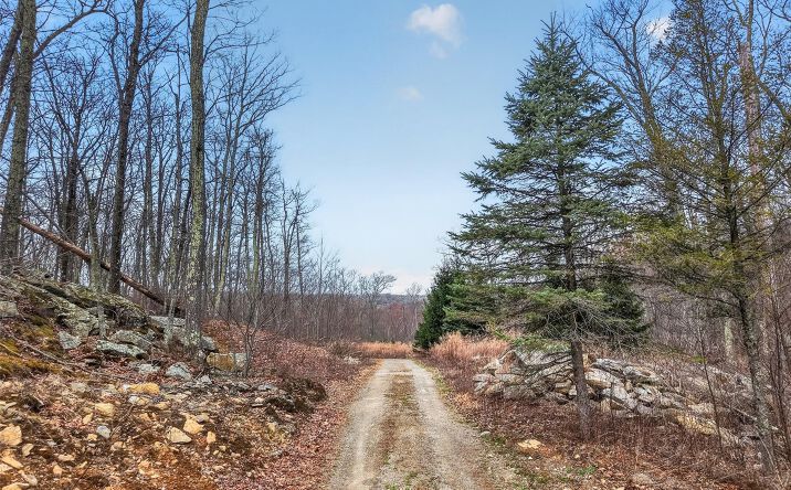 Pictures of Land, Multifamily property located at 545 Grape Hollow Road, East Fishkill, NY 12531 for sales - image #1