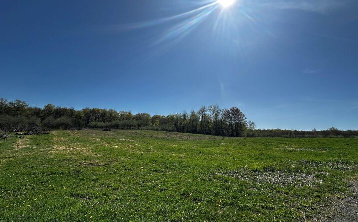 Pictures of Land property located at Route 32 S, Plattekill, NY 12548 for sales - image #1