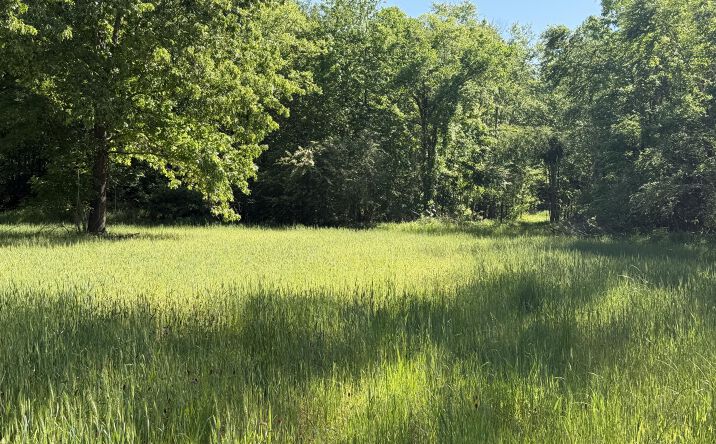 Pictures of Land property located at 214 Authur Byrd Road, Pocahontas, TN 38061 for sales - image #1