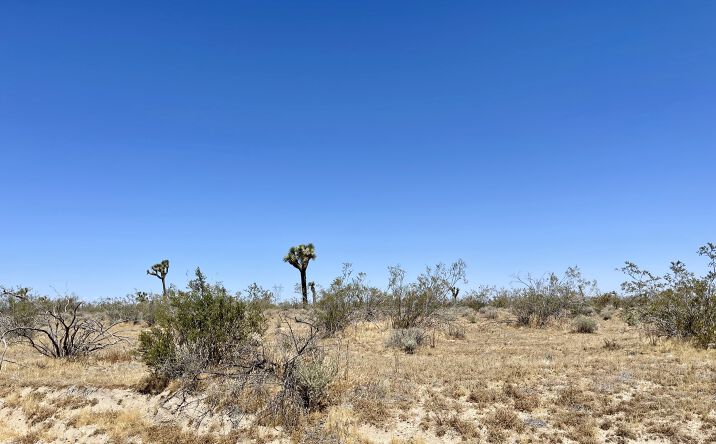 Pictures of Land property located at South 095 East, Phelan, CA 46795 for sales - image #1