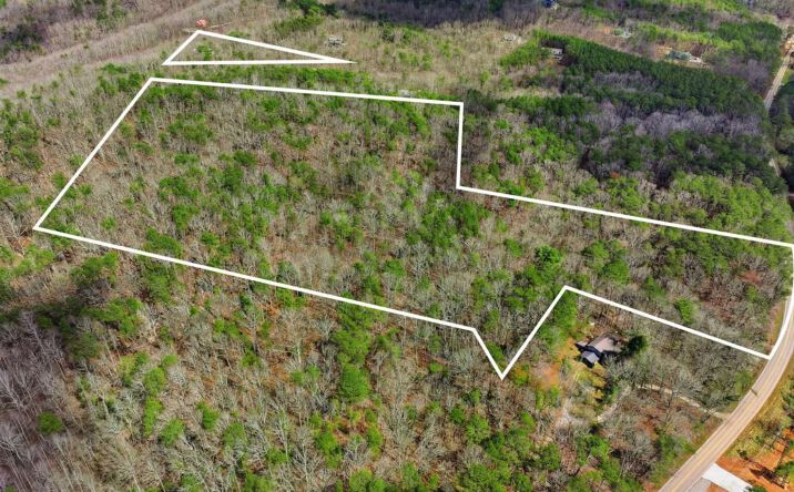Pictures of Land property located at 64 Bull Gap Road, Talking Rock, GA 30175 for sales - image #1