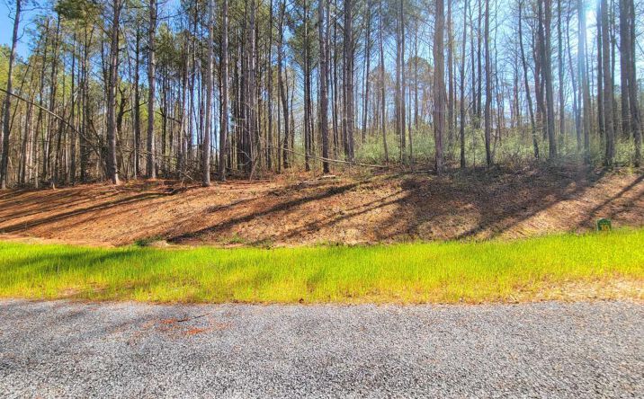 Pictures of Land property located at 68 Mountaingate Way, Ellijay, GA 30536 for sales - image #1