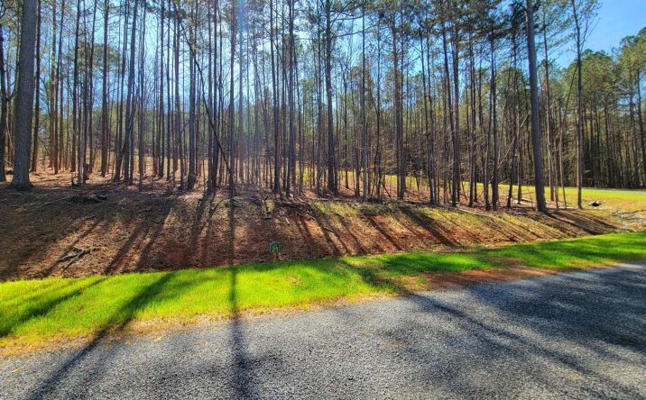 Pictures of Land property located at 277 Mountaingate Way, Ellijay, GA 30536 for sales - image #1