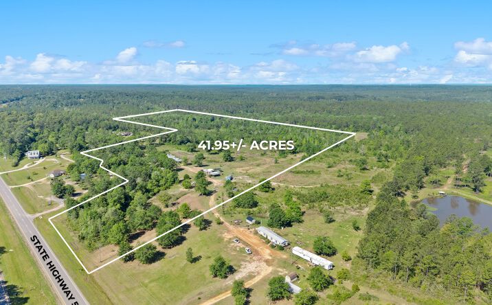Pictures of Land property located at 39207 STATE HIGHWAY 59, BAY MINETTE, AL 36507 for sales - image #1