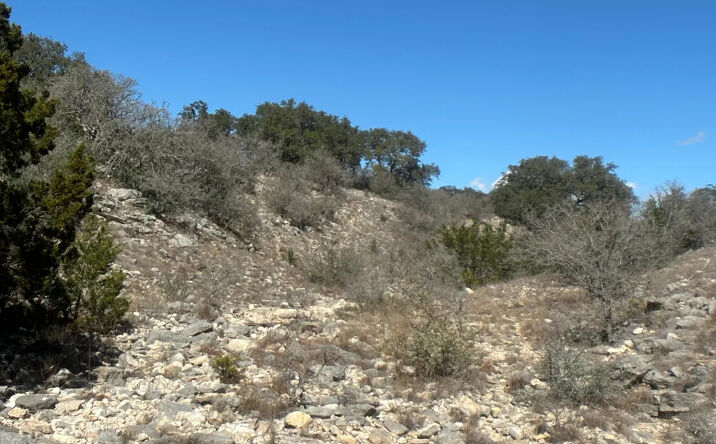 Pictures of Land property located at Hashknife North Ranch, Rocksprings, TX 78880 for sales - image #1