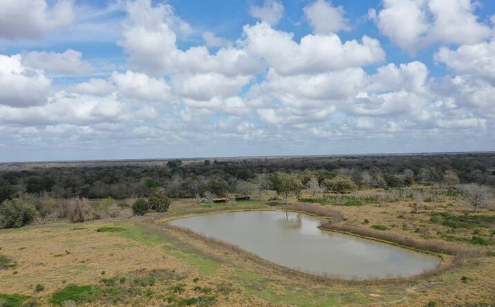 Pictures of Land property located at 27111 Farm to Market Rd 1301, Sweeny, TX 77431 for sales - image #1