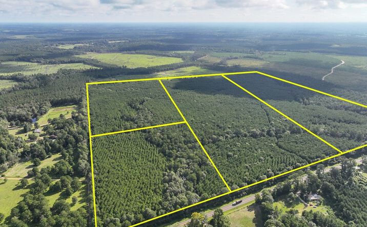 Pictures of Land property located at FM 1013, Mount Union, TX 75956 for sales - image #1