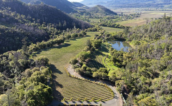 Pictures of Land property located at 255 Dutch Henry Canyon Road, Calistoga, CA 94515 for sales - image #1