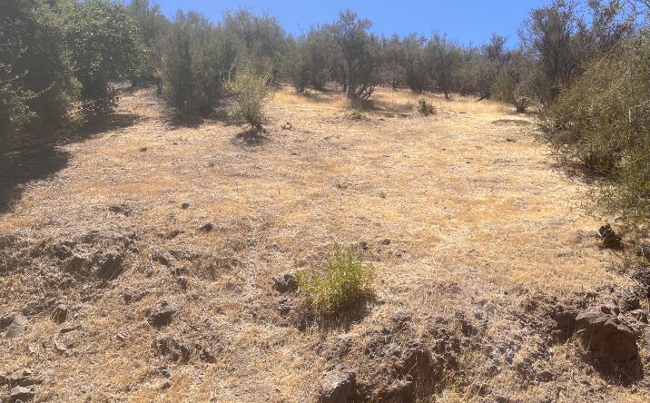 Pictures of Land property located at 0 Renee Dr, Agoura Hills, CA 91301 for sales - image #1