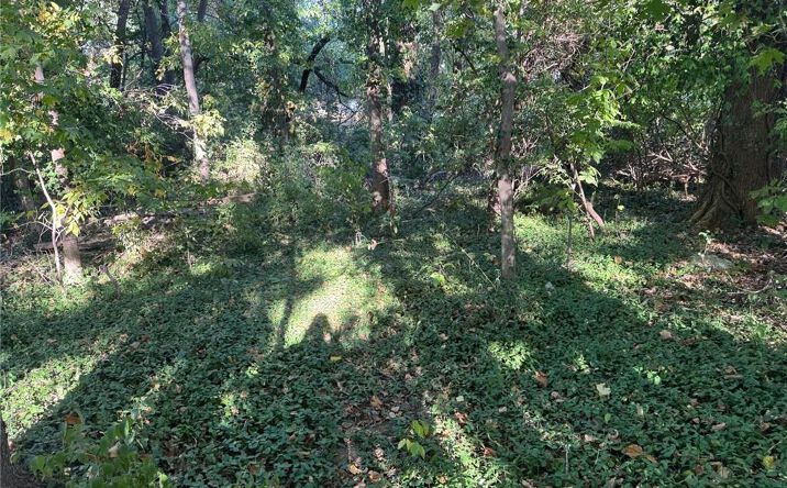 Pictures of Land, Multifamily property located at 5828 NE Barnes Avenue, Kansas City, MO 64119 for sales - image #1
