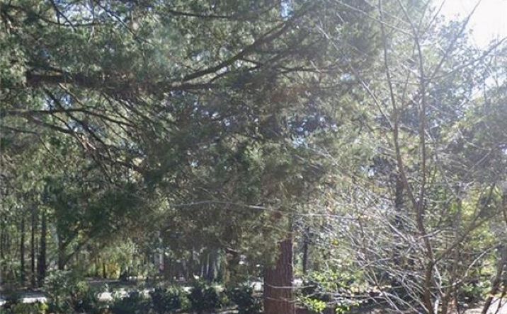 Pictures of Land, Multifamily property located at 100 W Walker Drive, Harrisonville, MO 64701 for sales - image #1