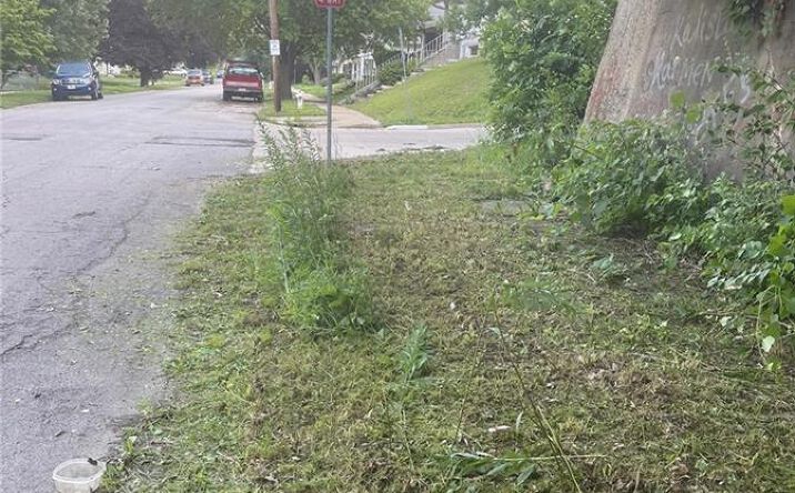 Pictures of Land, Multifamily property located at 1202 24th Street, St Joseph, MO 64507 for sales - image #1