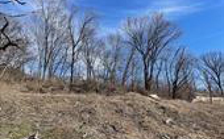 Pictures of Land, Multifamily property located at 4043 Olive Street, Kansas City, MO 64130 for sales - image #1