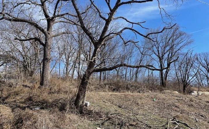 Pictures of Land, Multifamily property located at 4041 Olive Street, Kansas City, MO 64130 for sales - image #1