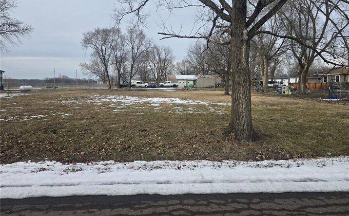 Pictures of Land, Multifamily property located at 725 Pearl Street, East Lynne, MO 64743 for sales - image #1