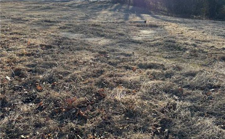 Pictures of Land, Multifamily property located at 404 S Kirkpatrick Street, El Dorado Springs, MO 64744 for sales - image #1