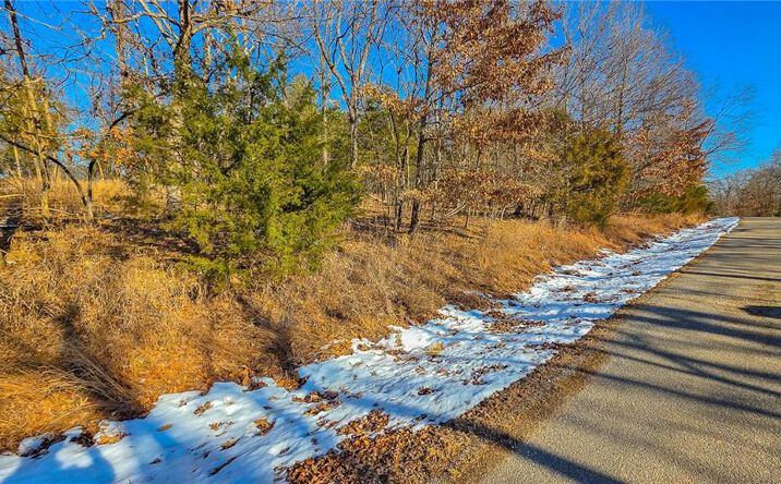 Pictures of Land, Multifamily property located at Lot #1356 Champion Drive, Sunrise Beach, MO 65079 for sales - image #1