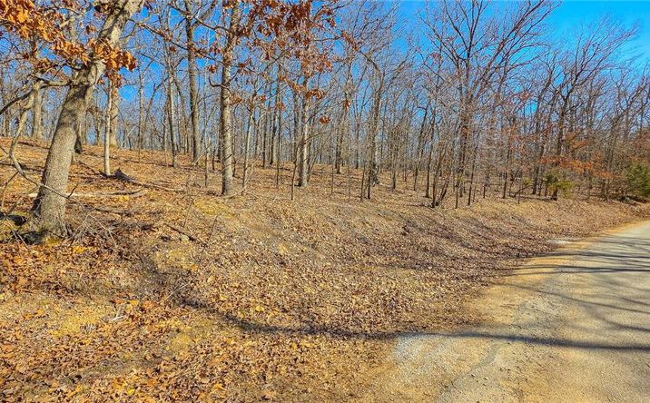 Pictures of Land, Multifamily property located at Lot #450 Grand View Drive, Sunrise Beach, MO 65079 for sales - image #1