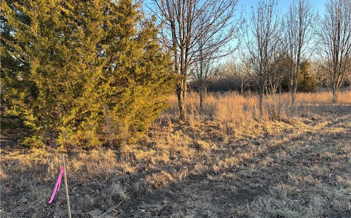 Pictures of Land, Multifamily property located at 34 & 38 Louisiana Drive, Linn Valley, KS 66040 for sales - image #1