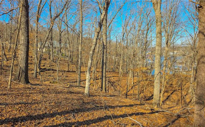 Pictures of Land, Multifamily property located at Lot #322 Oak Drive, Sunrise Beach, MO 65079 for sales - image #1
