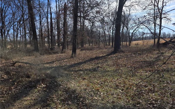 Pictures of Land, Multifamily property located at Tract B NW County Rd 17402 N/A, Archie, MO 64725 for sales - image #1