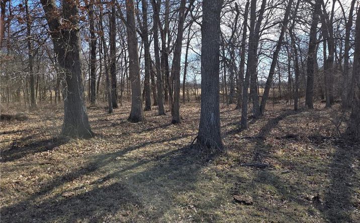 Pictures of Land, Multifamily property located at Tract C NW County Road 17402 N/A, Archie, MO 64725 for sales - image #1