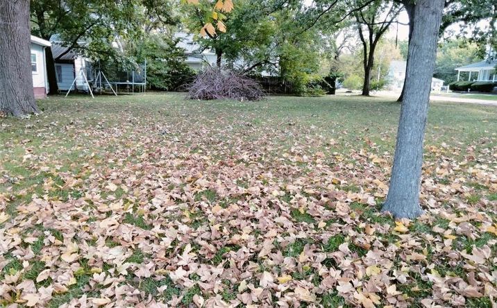 Pictures of Land, Multifamily property located at 201 E School Street, Hamilton, MO 64644 for sales - image #1