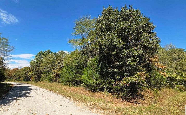 Pictures of Land, Multifamily property located at Fay Place, Edwards, MO 65326 for sales - image #1