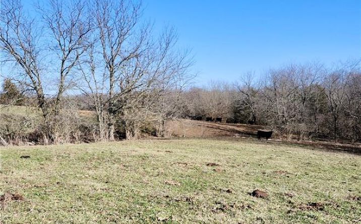 Pictures of Land, Multifamily property located at 1125 S Van Dyke Road, Buckner, MO 64016 for sales - image #1