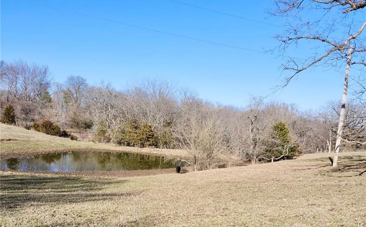 Pictures of Land, Multifamily property located at 1001 S Van Dyke Road, Buckner, MO 64016 for sales - image #1