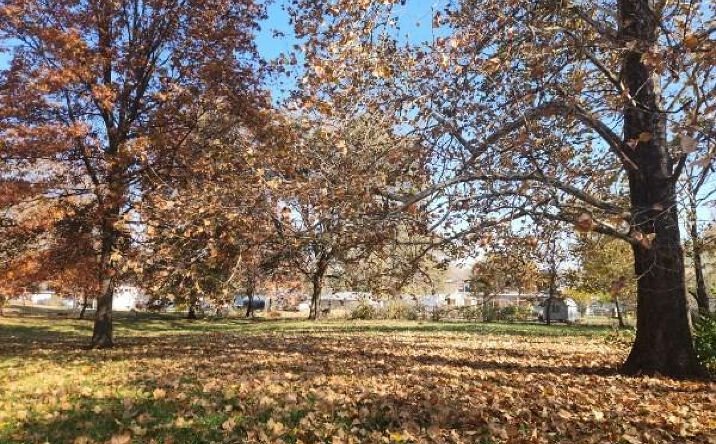 Pictures of Land, Multifamily property located at 710 W Mason Street, Odessa, MO 64076 for sales - image #1