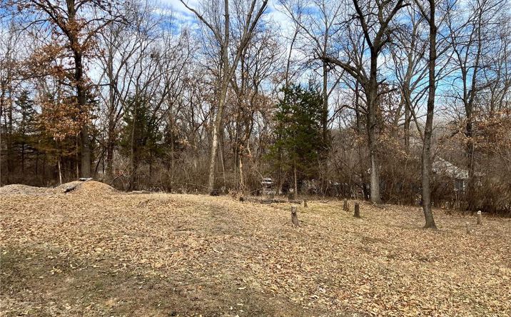 Pictures of Land, Multifamily property located at 6318 Riverview Avenue, Kansas City, KS 66102 for sales - image #1