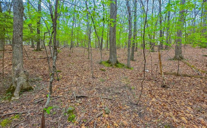 Pictures of Land, Multifamily property located at Lot #499 Grand View Drive, Sunrise Beach, MO 65079 for sales - image #1