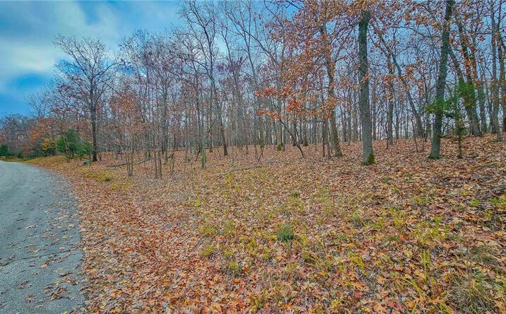 Pictures of Land, Multifamily property located at Lot #302 Lake Drive, Sunrise Beach, MO 65079 for sales - image #1