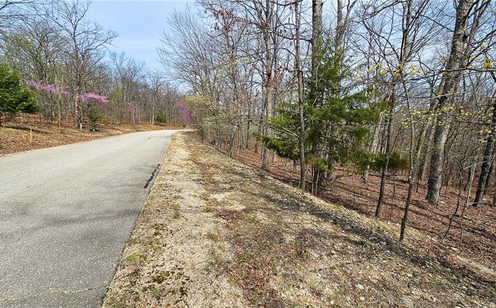 Pictures of Land, Multifamily property located at Lot #362 Lake Drive, Sunrise Beach, MO 65079 for sales - image #1