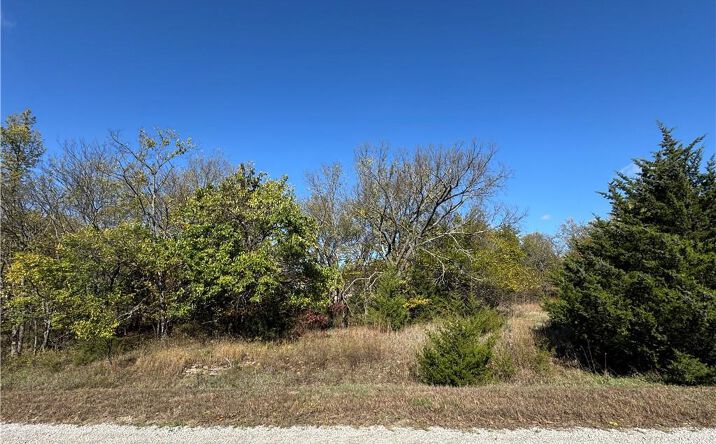 Pictures of Land, Multifamily property located at 41 & 45 Illinois Drive, Linn Valley, KS 66040 for sales - image #1
