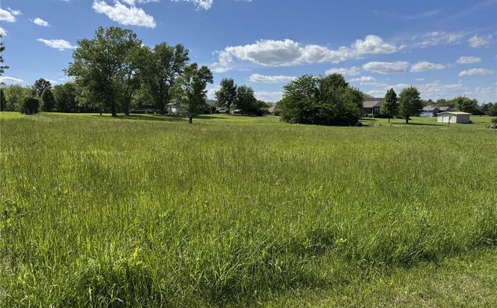 Pictures of Land, Multifamily property located at tbd NE 1211 Road, Knob Noster, MO 65336 for sales - image #1