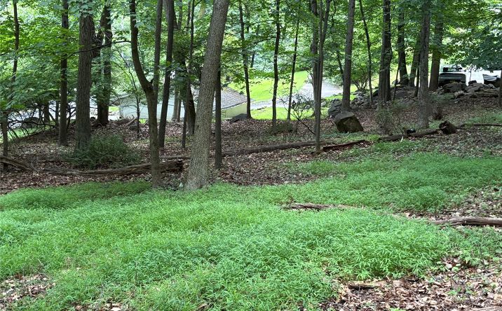 Pictures of Land, Multifamily property located at 36 Clausland Mountain Road, Orangetown, NY 10913 for sales - image #1