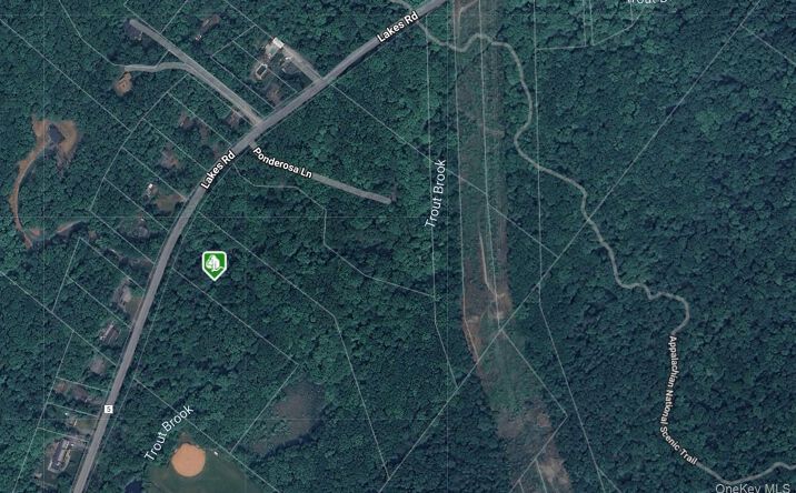 Pictures of Land, Multifamily property located at 1181 Lakes Road, Monroe, NY 10950 for sales - image #1