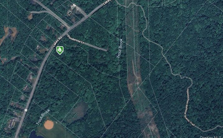 Pictures of Land, Multifamily property located at 1171 Lakes Road, Monroe, NY 10950 for sales - image #1