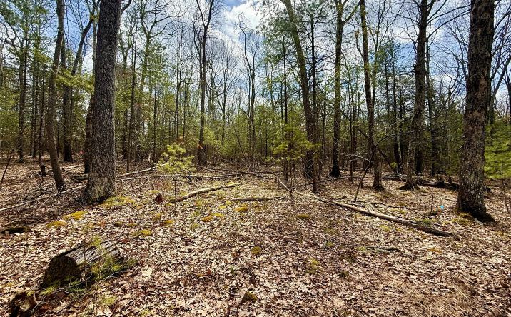 Pictures of Land, Multifamily property located at Marko Drive, Highland, NY 12528 for sales - image #1